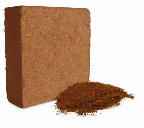 5kg Coco Peat Block